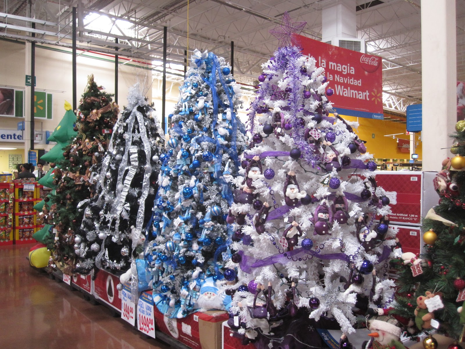 Spotted Around the Guaymas Area