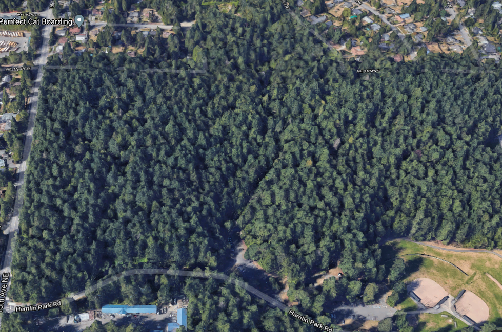 Shoreline Area News Shoreline Walks Hamlin Park Orienteering Saturday