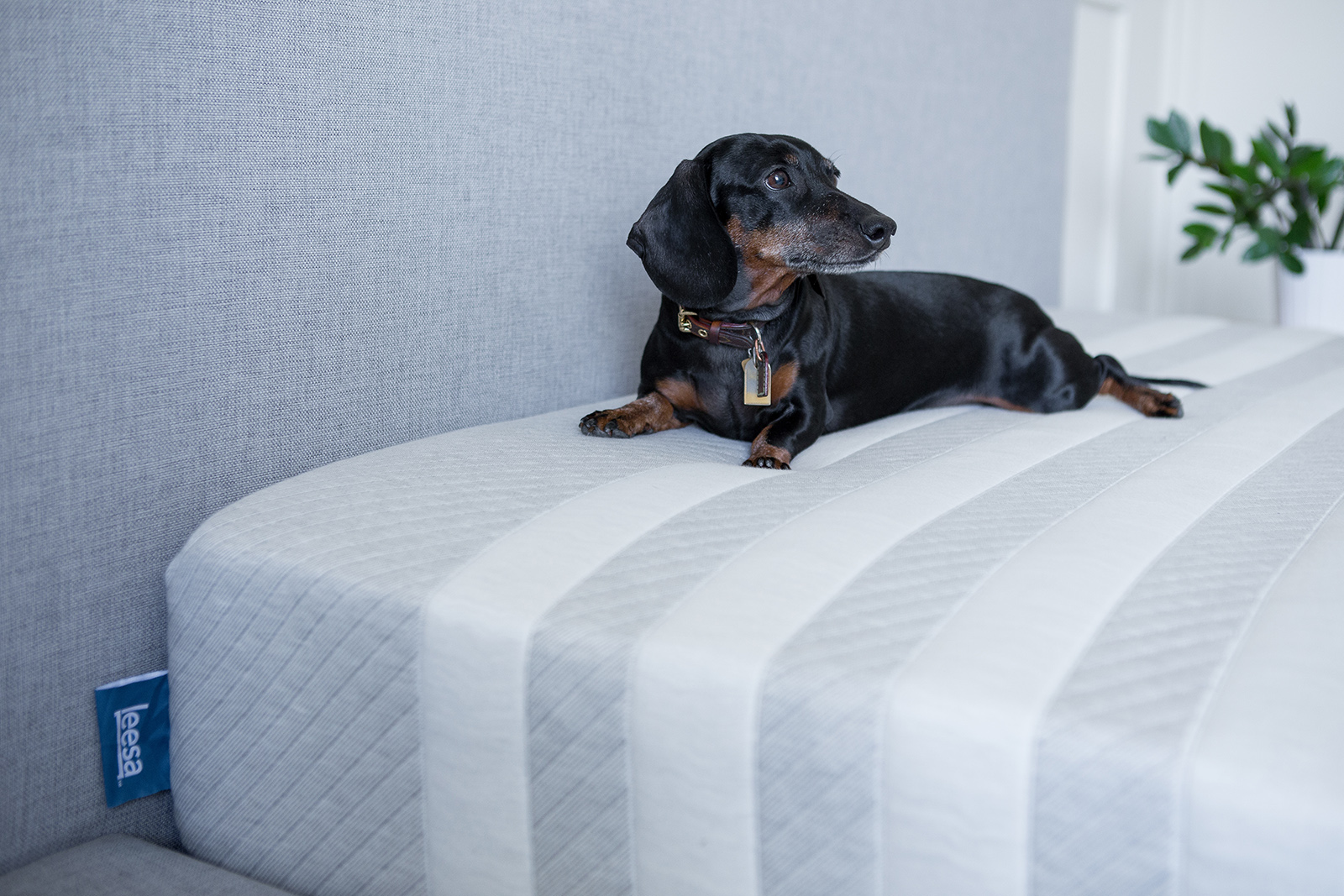 The Best Mattress Technology of 2020