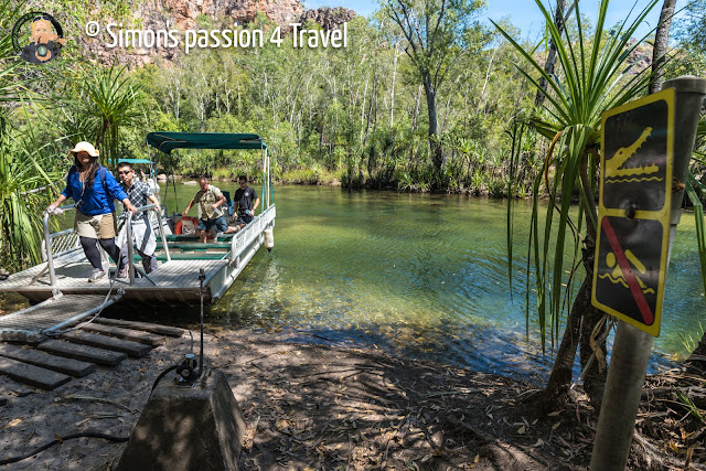 Crocodile alert Crocodile alert