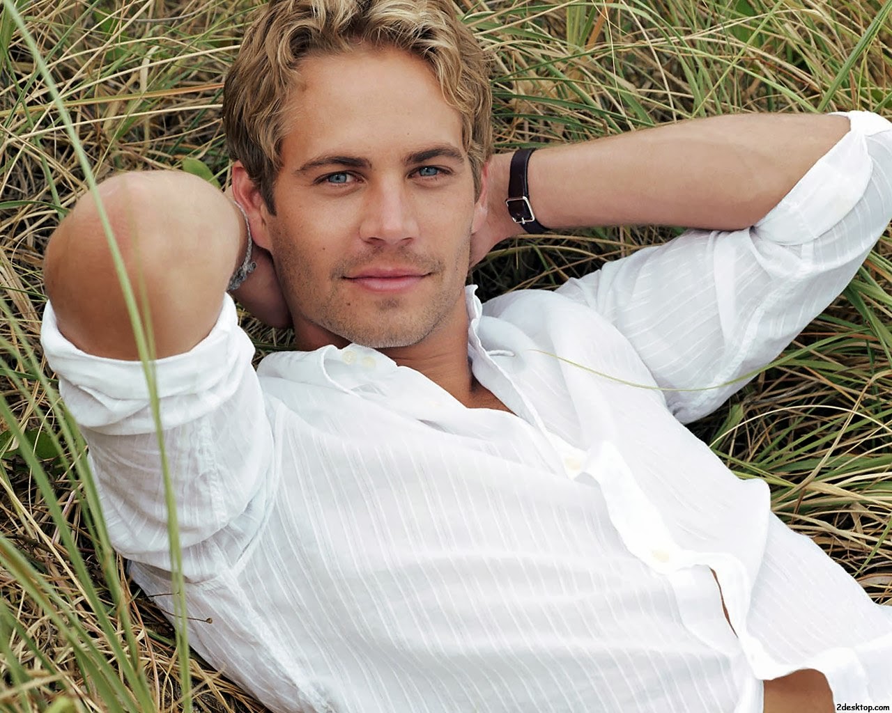 CelebrityLifestyle Paul walker pictures before death