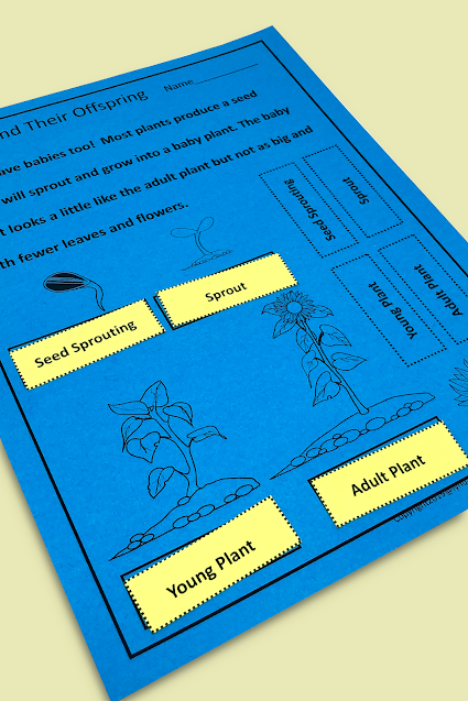 Animals and Their Babies First Grade Unit Animals and Their Babies First Grade Unit
