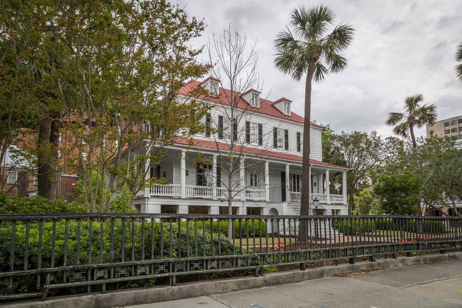 Charleston Daily Photo Calhoun St. beauty
