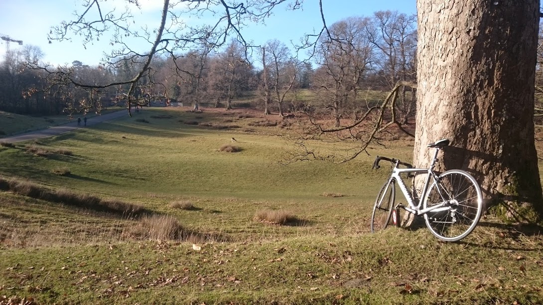 knole park cycling