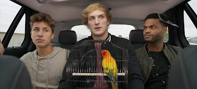 Airplane Mode 2019 Logan Paul Image 3