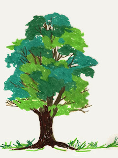 colored pencil sketch of a tree