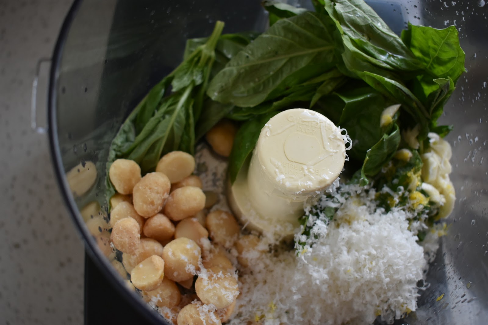 PanSeared Salmon with Macadamia Nut Pesto Chef Jen