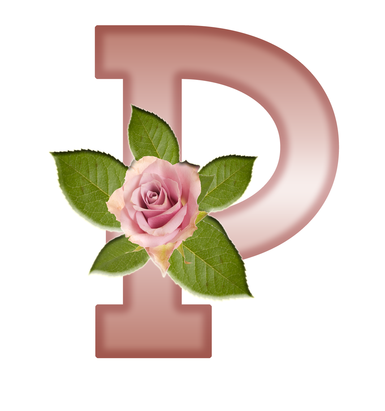 Blindada por Deus: Alfabeto textura rosa com rosa