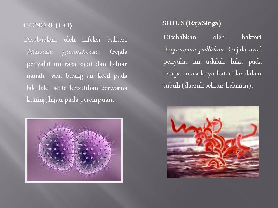 KELAINAN &amp; PENYAKIT PADA SISTEM REPRODUKSI MANUSIA