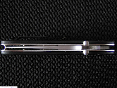 Close blade detail Ganzo G704