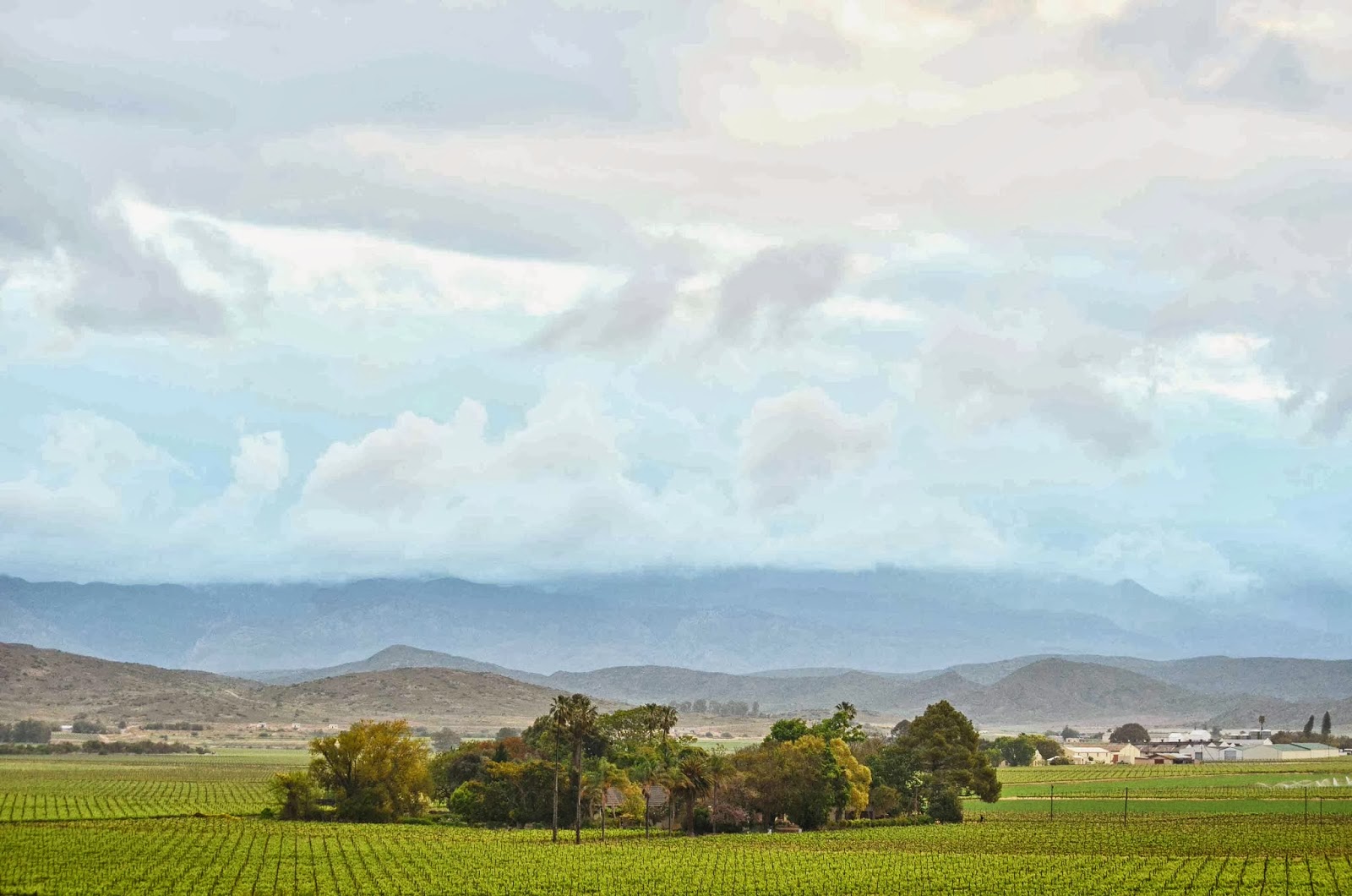 An Extended Weekend At Weltvrede Bonnievale