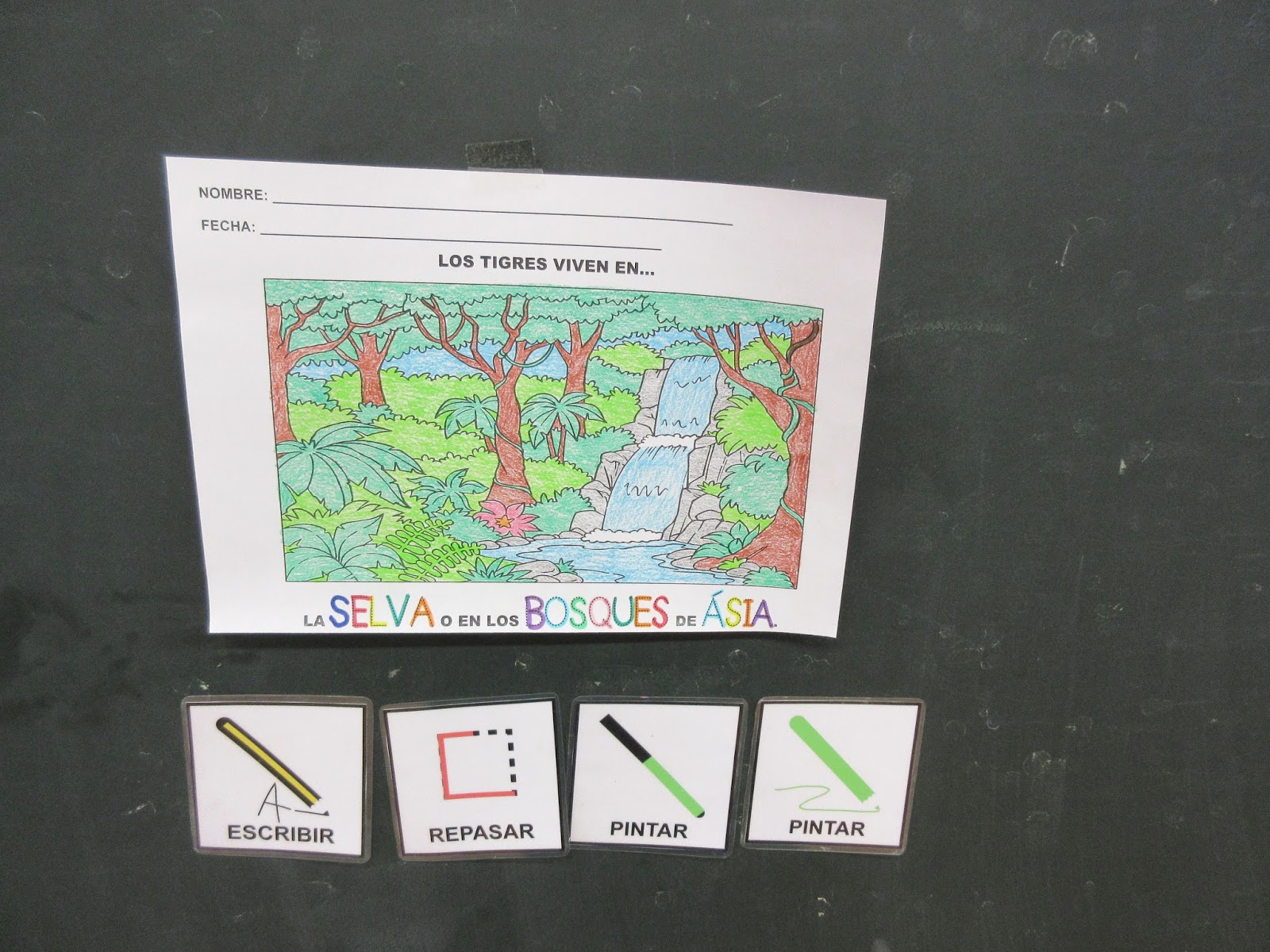 Trabajando con personitas: ¿Dónde vive el TIGRE?