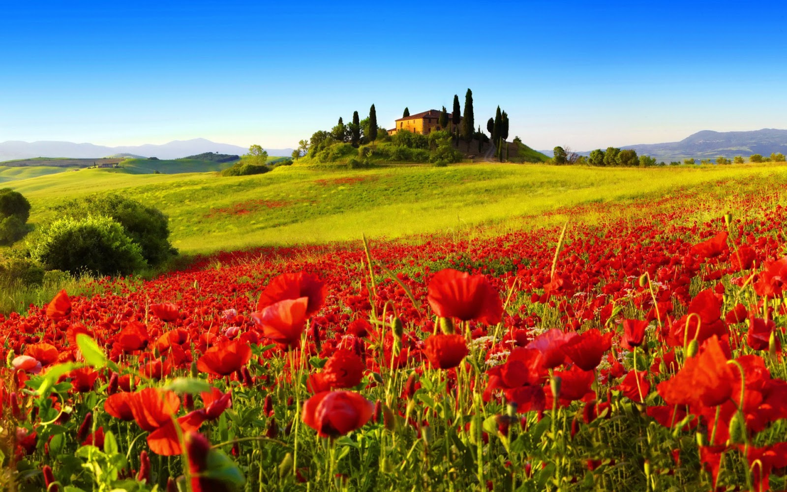 Day Tour Northern Italy Day Tour Northern Italy