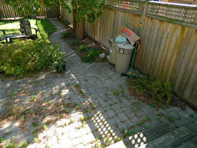 Toronto gardening services Bracondale Hill back yard cleanup before by Paul Jung
