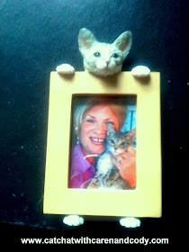 Cat Chat With Caren And Cody National Hug Your Cat Day 2020