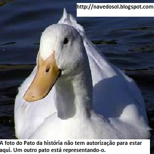 Pato.png
