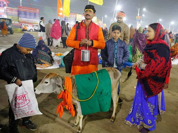 Toothpaste, eye drops made from cow urine at Magh mela, News, Politics, Health, Health & Fitness, Business, Visitors, National.