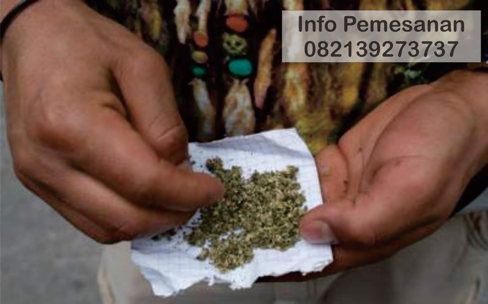 Feri Herbal Tips Efektif Mengobati Kecanduan Tembakau