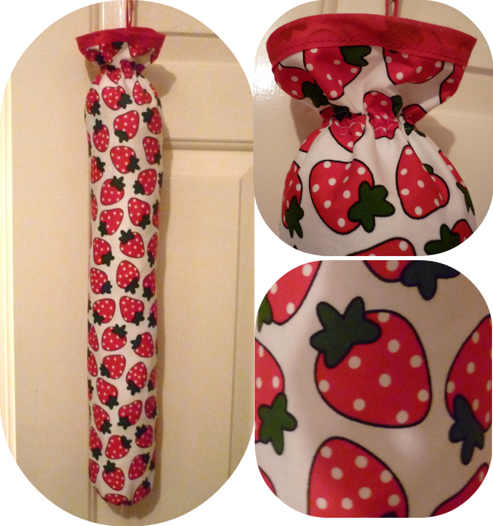 Lucky Dragonfly Craft Carrier Bag Holder