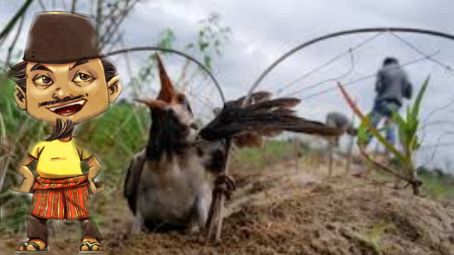 Cerita Lucu Pakpandir Berburu Burung