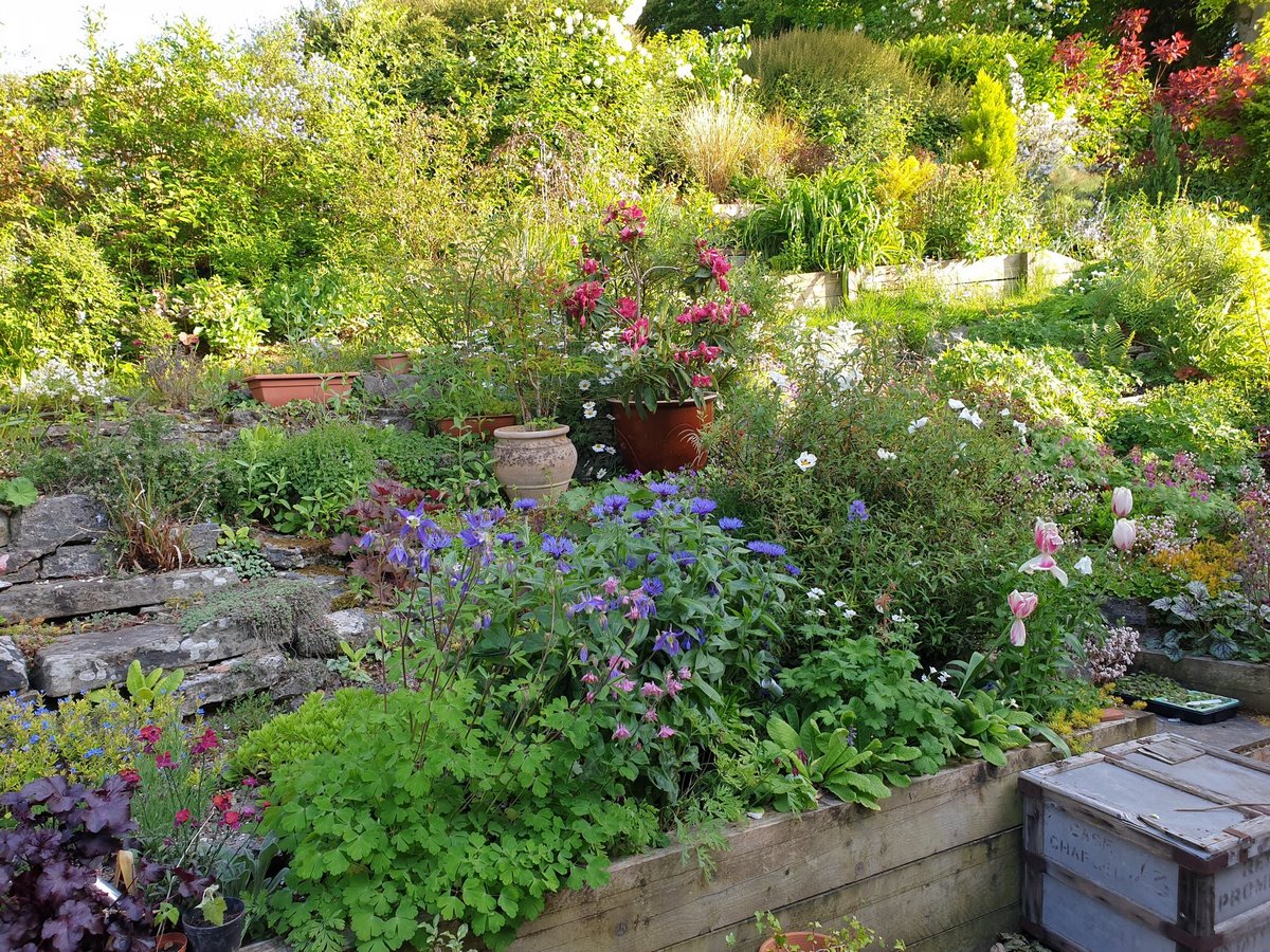 my chelsea garden jardines privados y