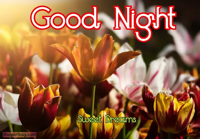 Good Night Flowers HD Wallpaper Good Night Flowers HD Wallpaper