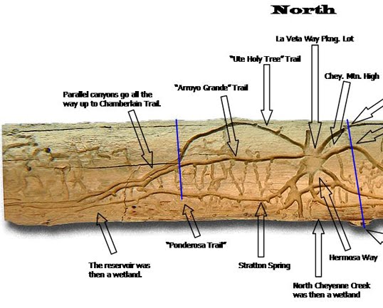 How does this idea counter the assumption that many adults make about social media use image