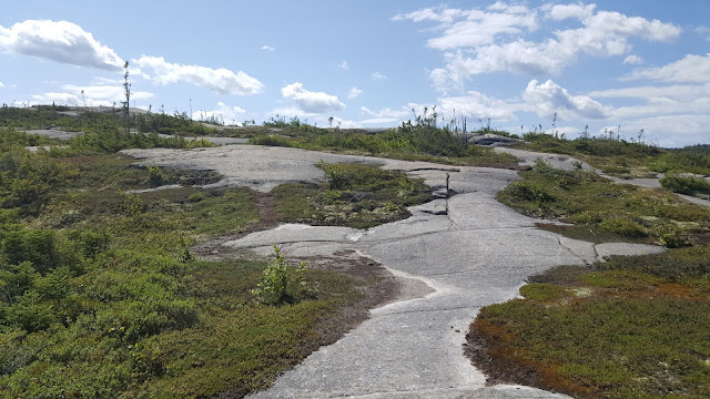 Au sommet de la Montagne Blanche