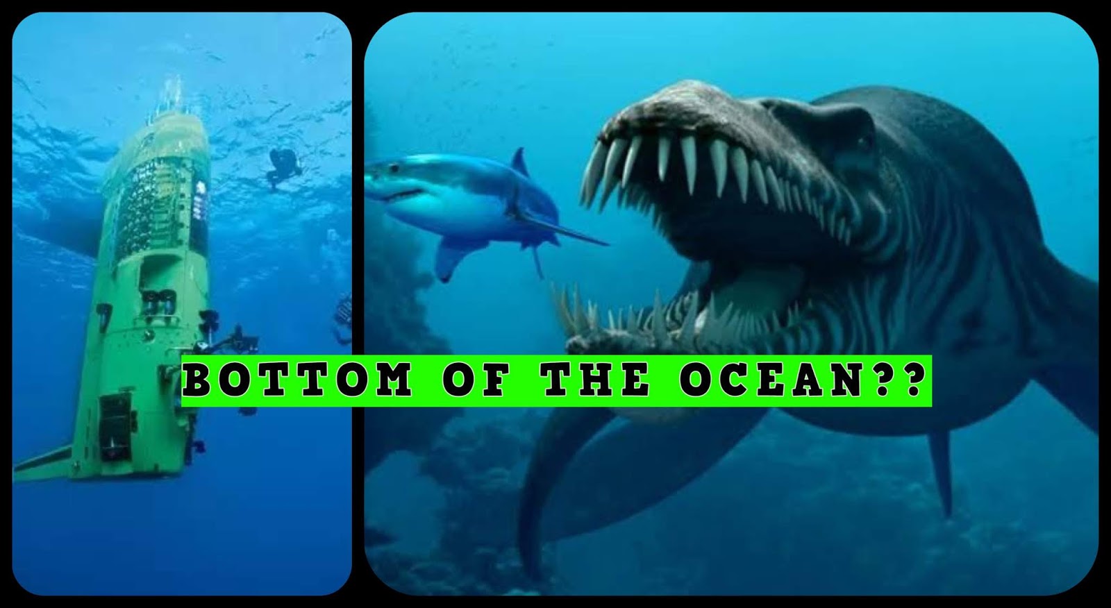 Did You Know What's at the Bottom of the Ocean?