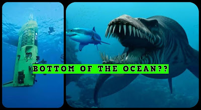 Did You Know What's at the Bottom of the Ocean?