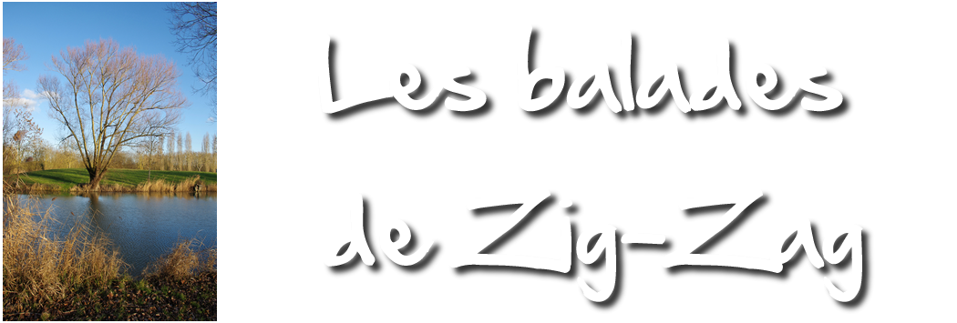 Les balades de Zig-Zag