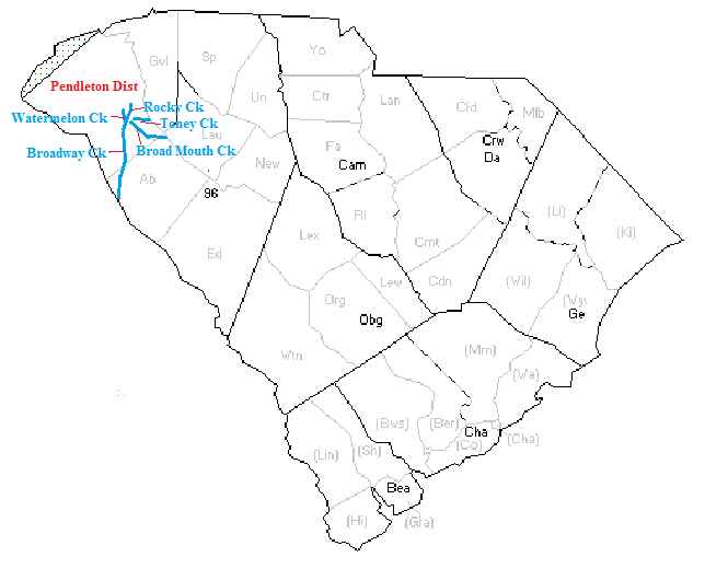 Benjamin Clements of Pendleton County, South Carolina To Pendleton