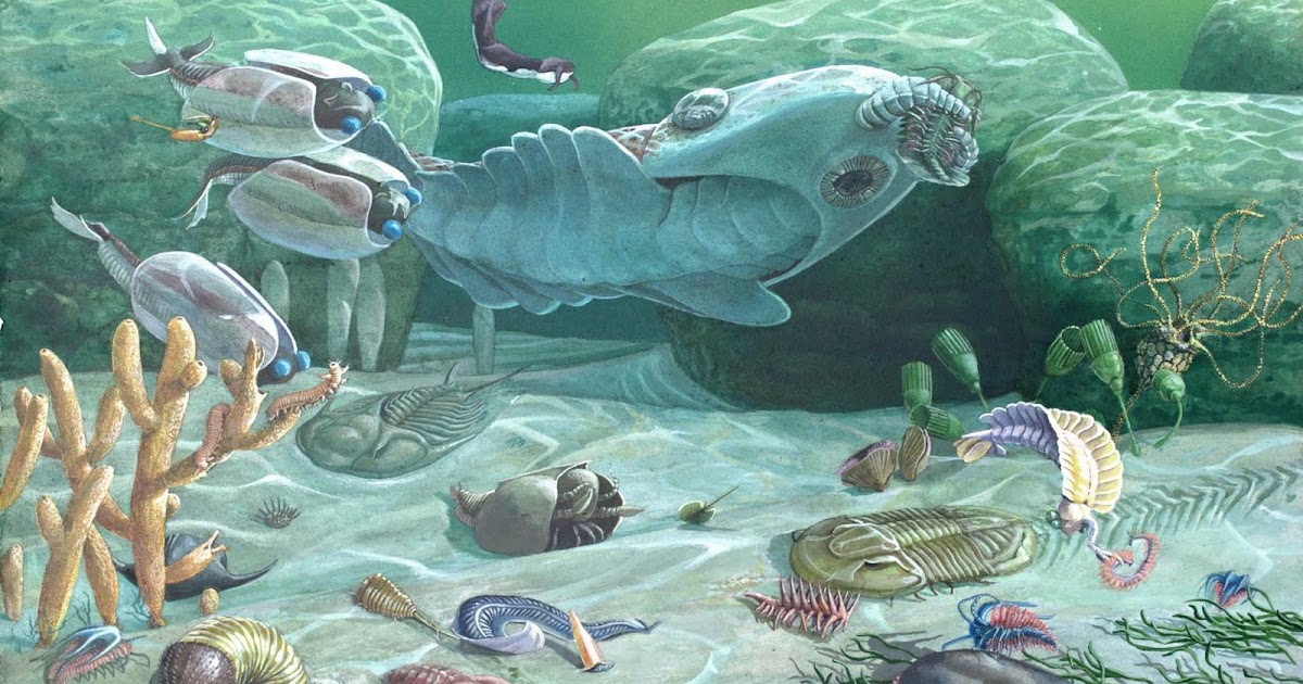 Группа морских организмов на дне океана. Палеозой Эра Кембрий. Кембрийский период палеозойской эры. Ортоцерас Ордовик. Протерозойская Эра Кембрий.
