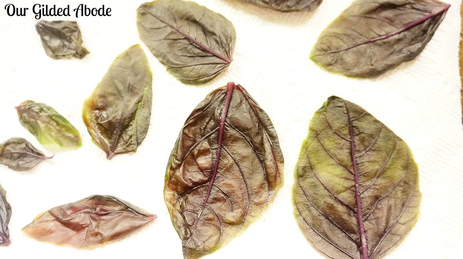 Our Gilded Abode Freezing Fresh Basil