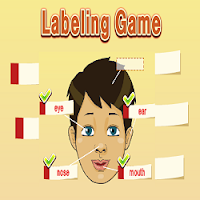 Body Parts Labeling