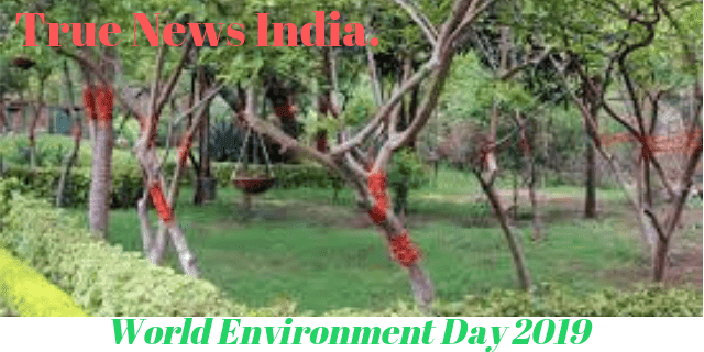 World environment day theme 2021 picture
