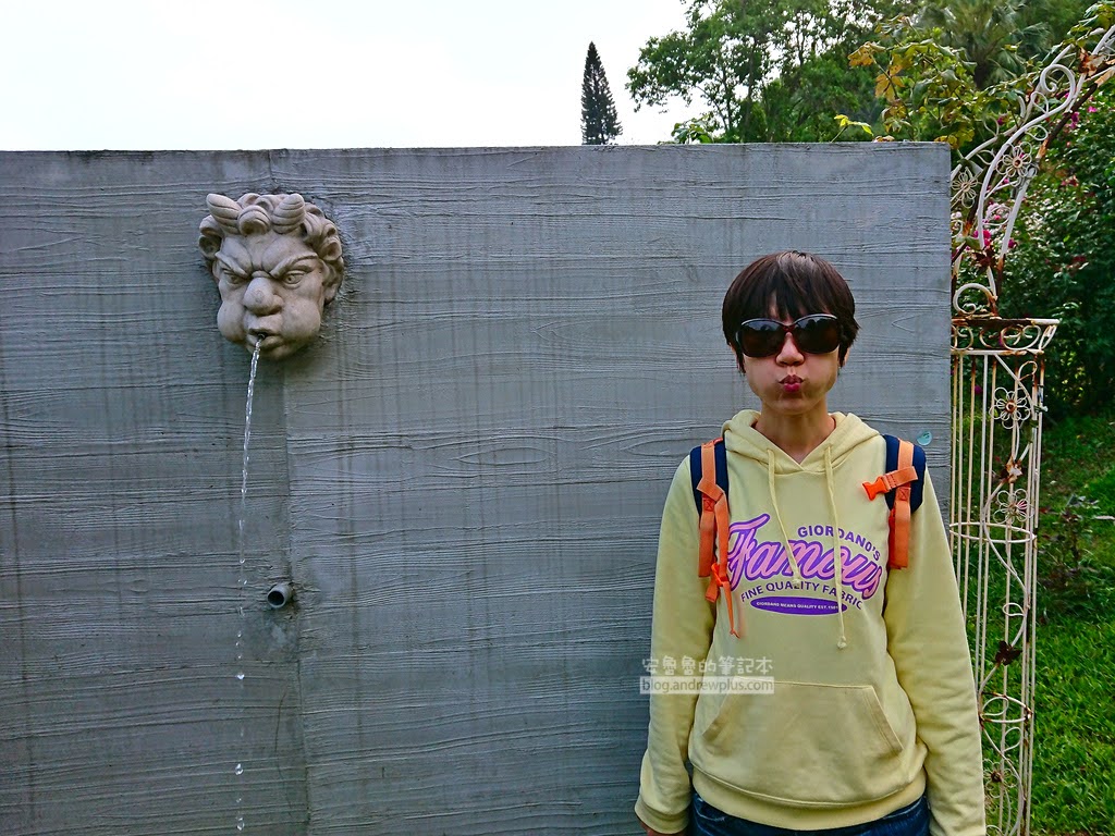 苗栗景點,雅聞七里香玫瑰森林,苗栗親子旅遊