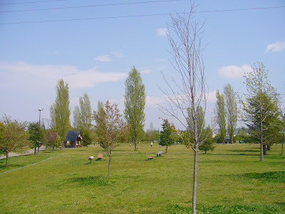 枚方市 山田池公園・芝生広場