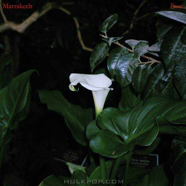 Marrakech – Fever – Single