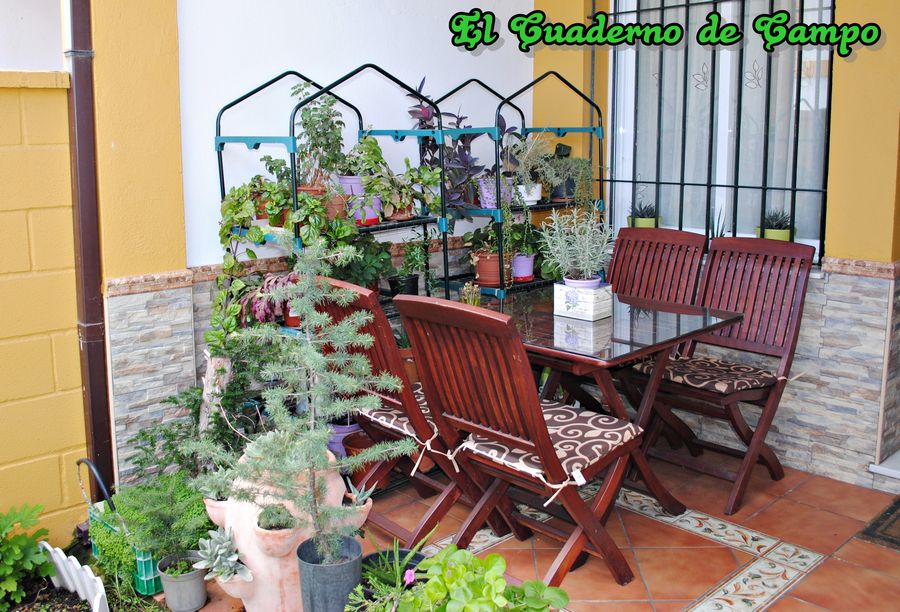 El Cuaderno de Campo: Proyecto Jardín, Parte 6, Estanterías para plantas