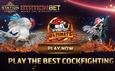 Judi Ayam Online Link Alternatif S128 Agen S128 Judi Ayam Online - stationbet.club