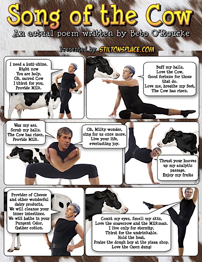 stiltonâs place, stilton, political, humor, conservative, cartoons, jokes, hope nâ change, beto o'rourke, poem, song of the cow