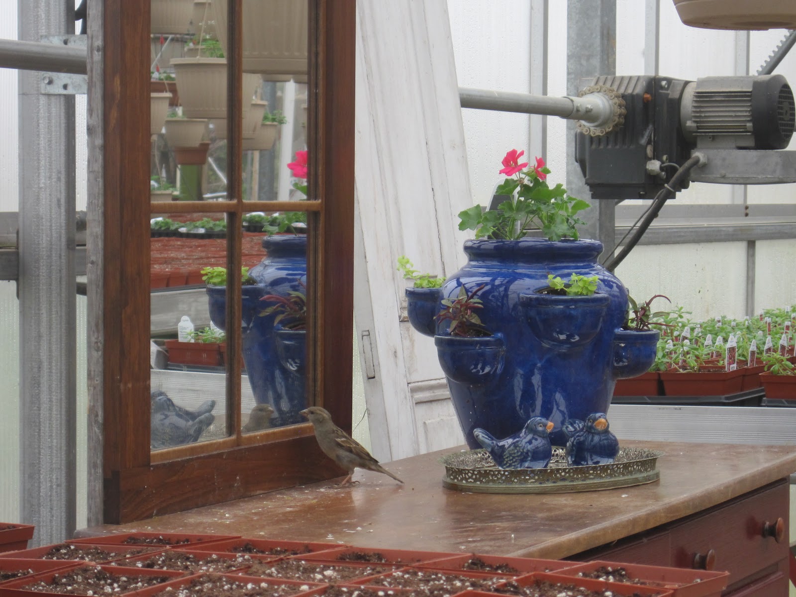 Henrys' Farm and Greenhouses Mirror, Mirror