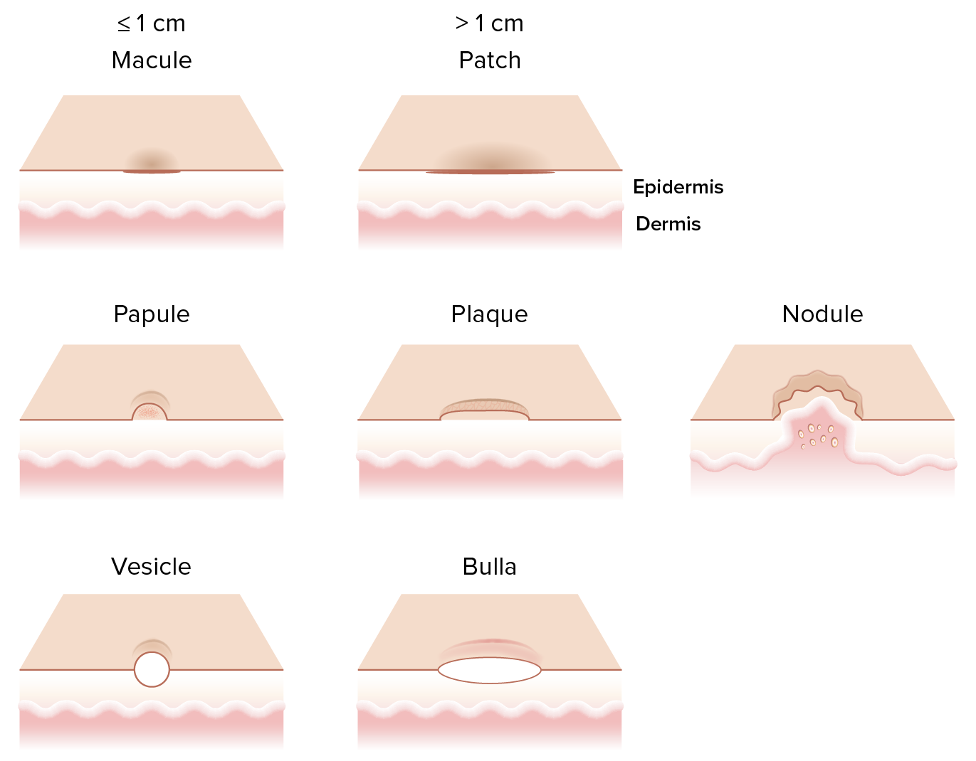 TERMINOLOGY OF ORAL CLINICAL AND SURGICAL PATHOLOGY