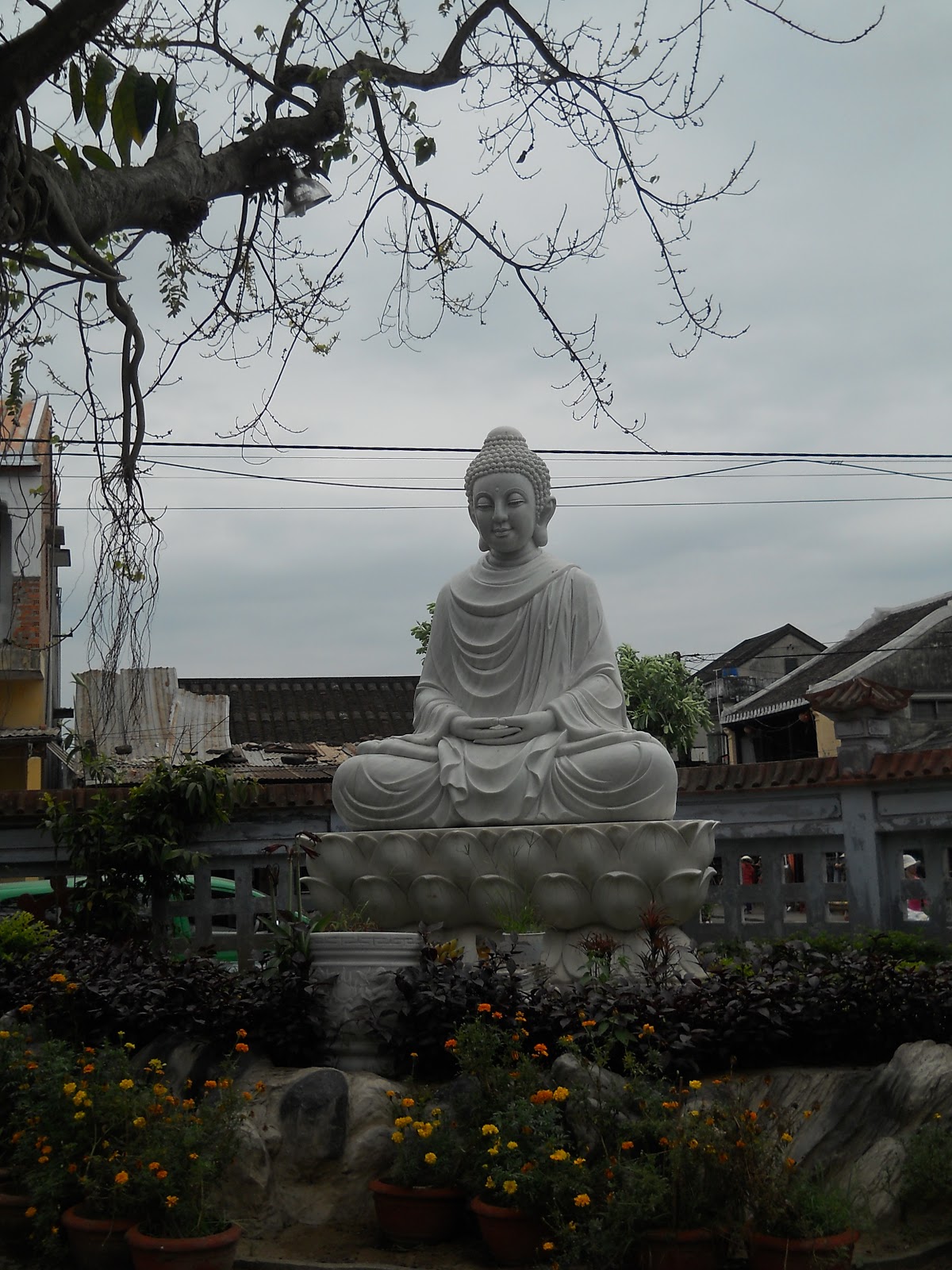DSCN2419.JPG