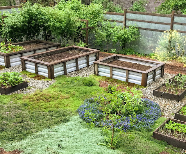 Raised cedar and galvanized steel garden beds