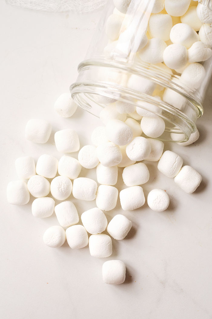 How to Make Dehydrated Marshmallows (And How to Freeze Dry Them Too