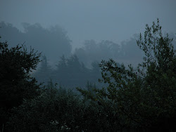 rainy gloomy rain cool days dark trees would very star regulus wet july notes absolutely sort lovely above getting