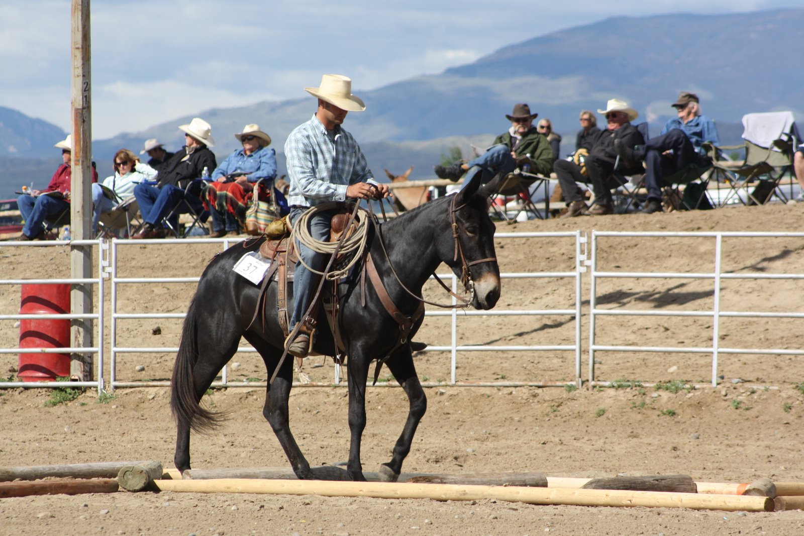 PairADice Mules: More Trail Preview Pictures Jake Clark Mule Days