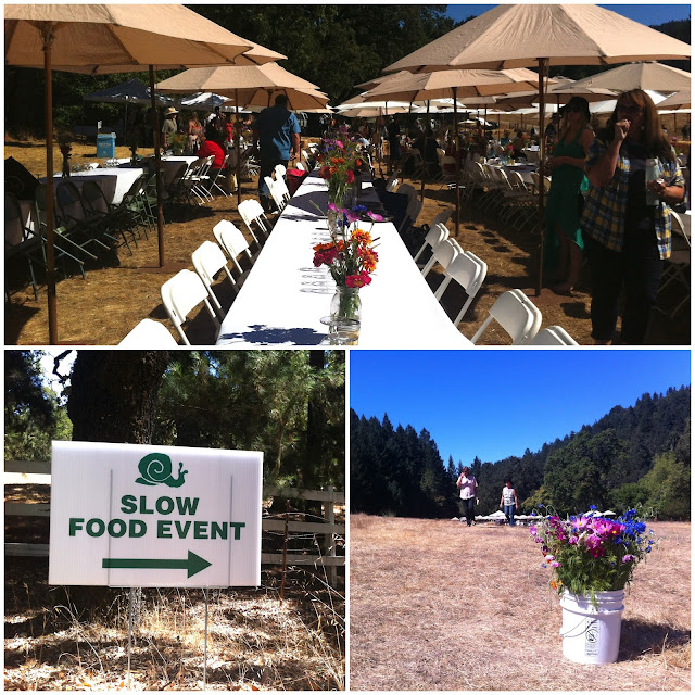 Anne and Monica Slow Food Picnic in Sonoma